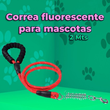 Correa para Perro Resistente de 3 Metros con Asa Acolchada