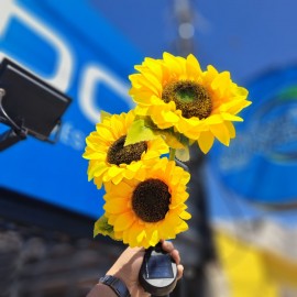 LAMPARA SOLAR RAMO GIRASOL 73CM SDD1205